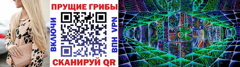 закладка  Магнитогорск  блэк спрут tor  Галлюциногенные грибы Psilocybe 