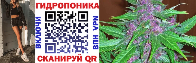 Конопля сатива  магазин продажи   мориарти официальный сайт  Магнитогорск 